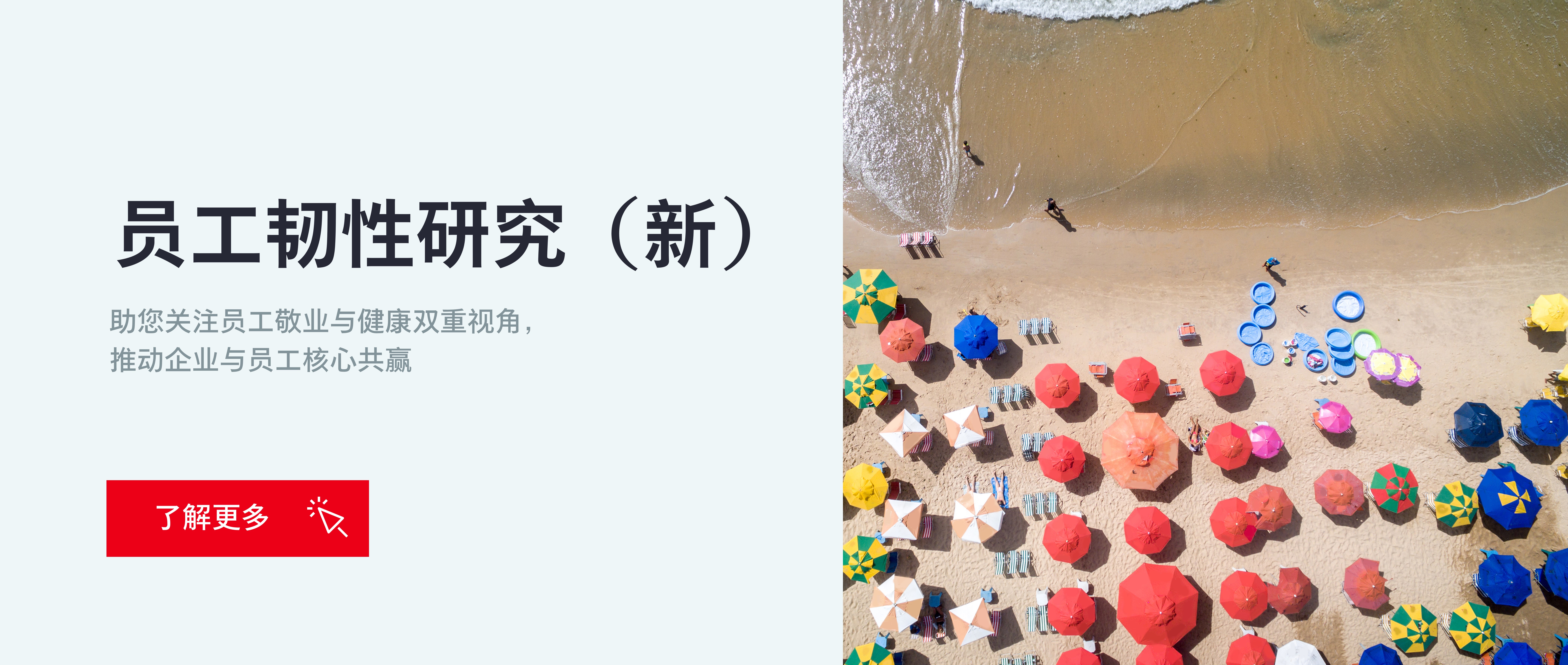 员工韧性研究（新）