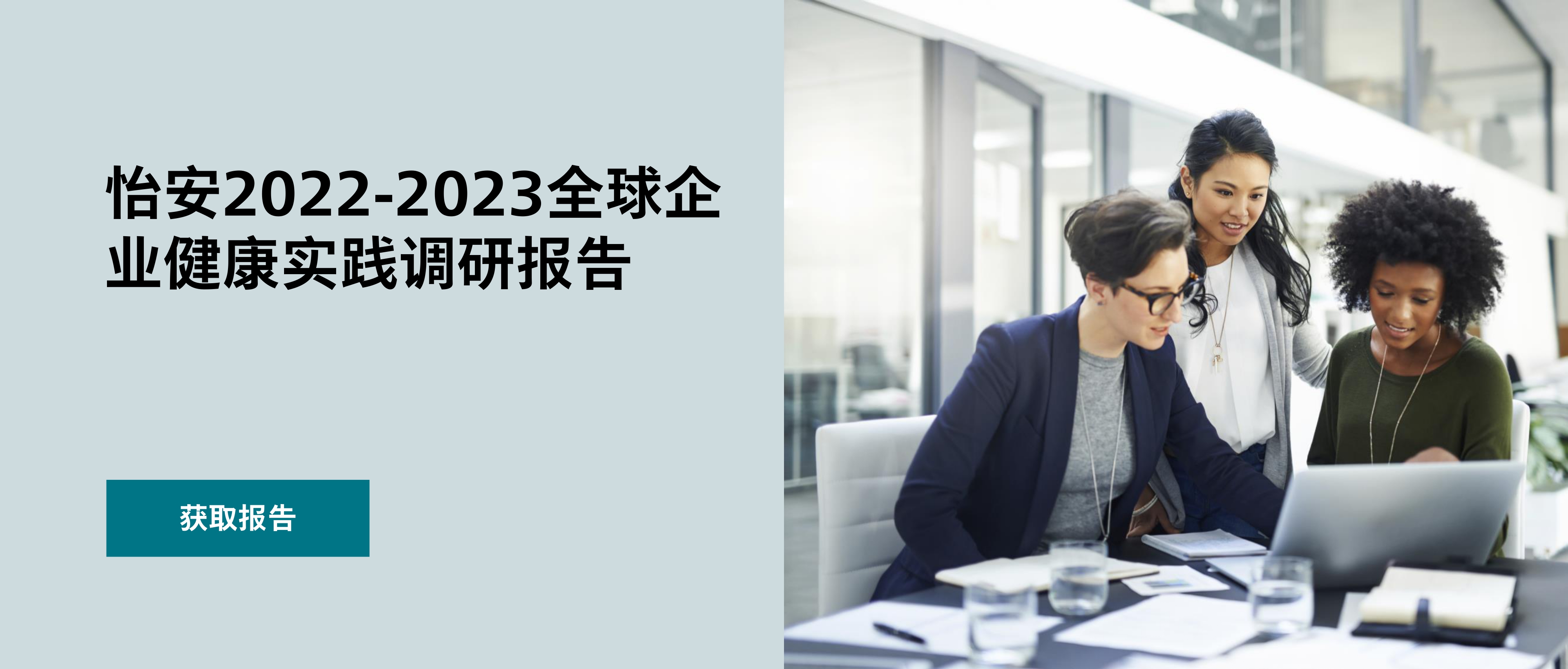 怡安2022-2023全球企业健康实践调研报告